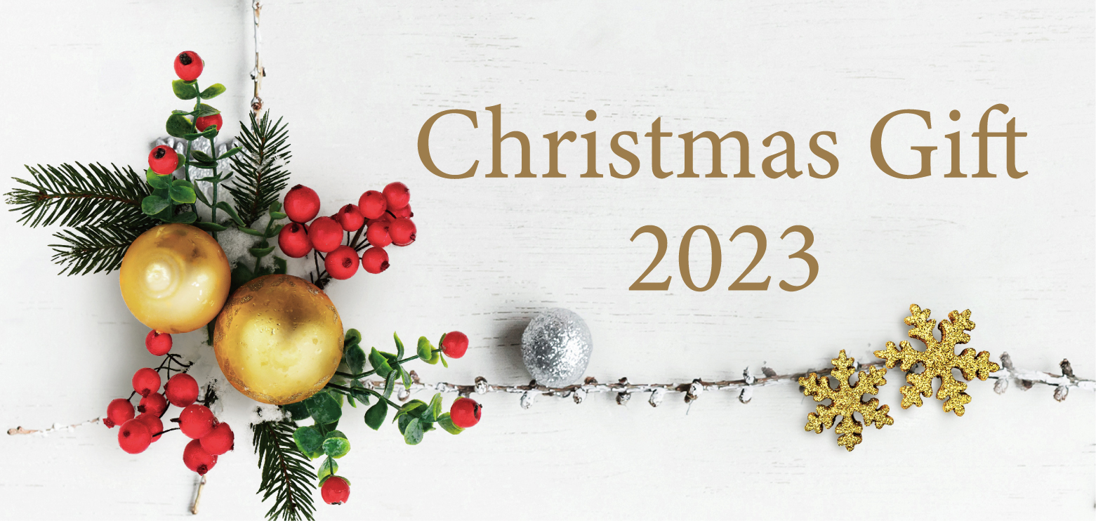 2023NX}X