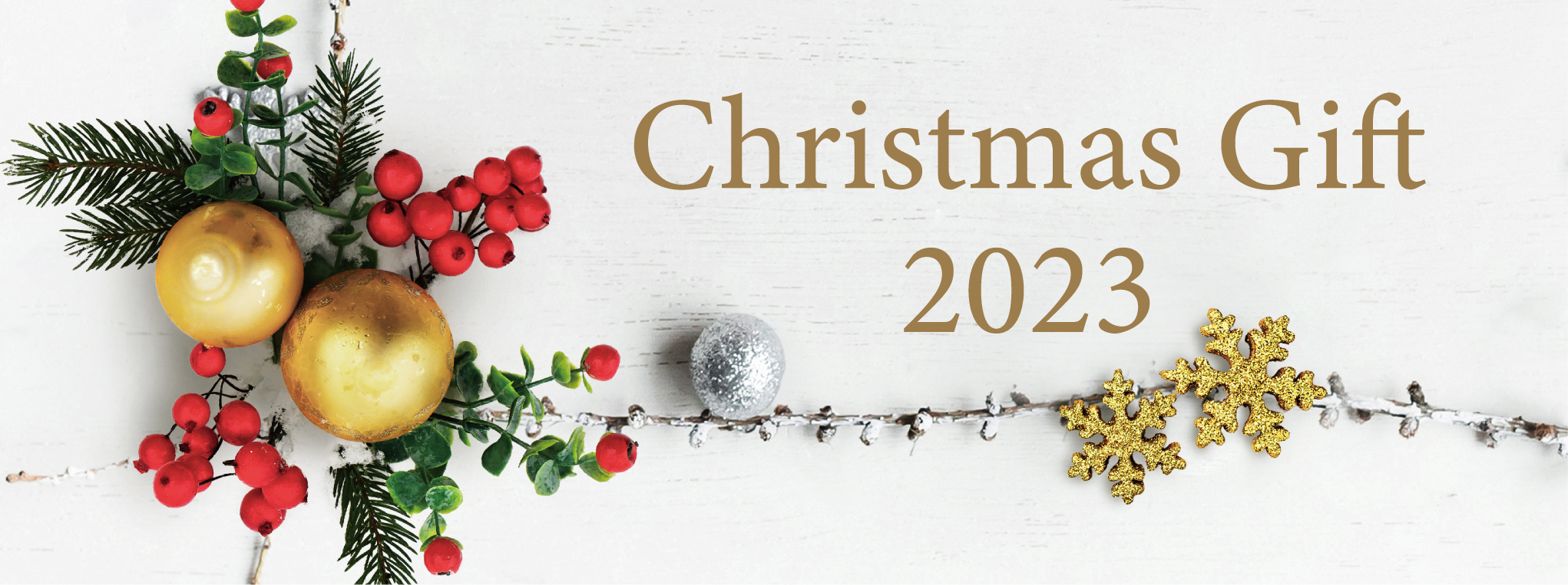 2023NX}X